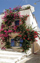 Similar image 10745923