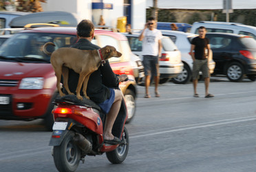 Similar image 10745935