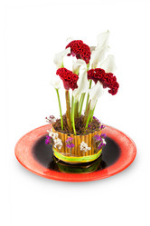 Similar image 10746003