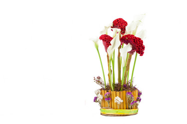 Similar image 10746004