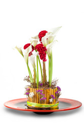 Similar image 10746006