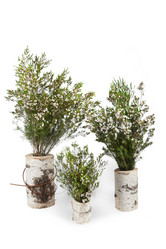 Similar image 10746008