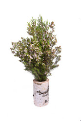 Similar image 10746010