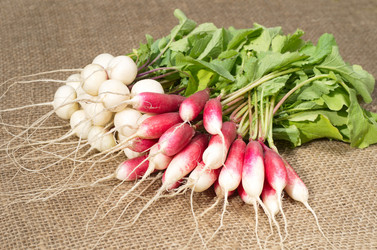 Similar image 10746053