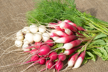 Similar image 10746055