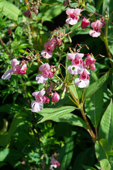 Similar image 10746056