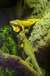 Similar image 10746068