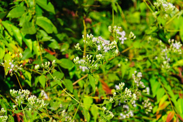 Similar image 10746239