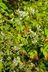 Similar image 10746240