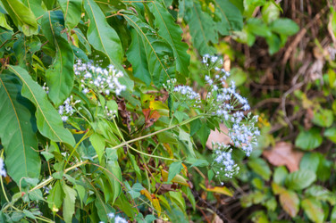 Similar image 10746241