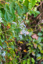 Similar image 10746242