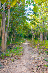 Similar image 10746245