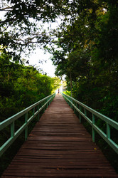 Similar image 10746247