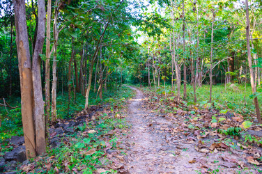 Similar image 10746248