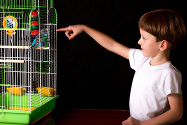 Similar image 10746662