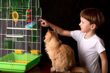 Similar image 10746664