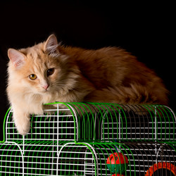 Similar image 10746666