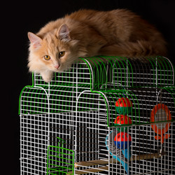 Similar image 10746669