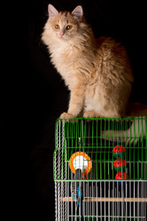 Similar image 10746670