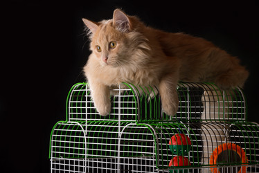 Similar image 10746684