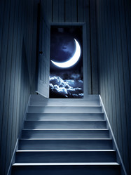 Similar image 10746750