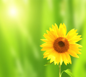 Similar image 10746761