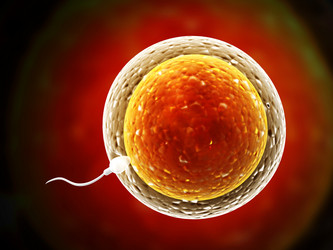 Similar image 10747028