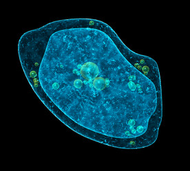 Similar image 10747030