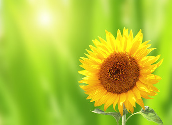 Similar image 10747141