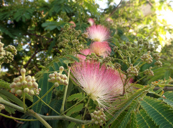 Similar image 10747264