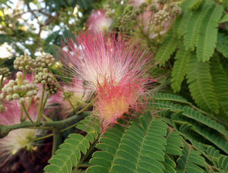 Similar image 10747265