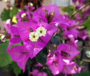 Similar image 10747290