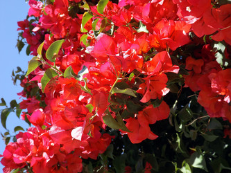 Similar image 10747294