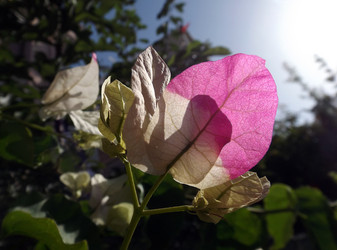 Similar image 10747295