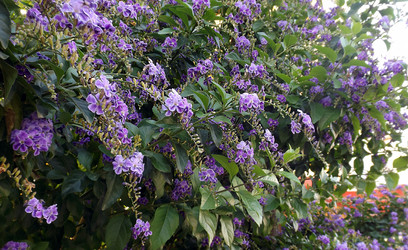 Similar image 10747299