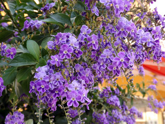 Similar image 10747301