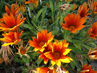 Similar image 10747304