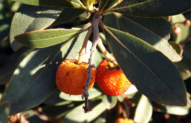 Similar image 10747319