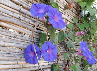 Similar image 10747320