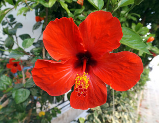 Similar image 10747322