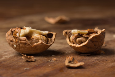 Similar image 10747379