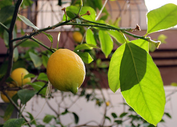 Similar image 10747426