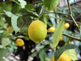 Similar image 10747429