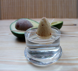 Similar image 10747432