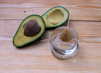 Similar image 10747433