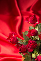 Similar image 10747443