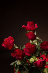 Similar image 10747478