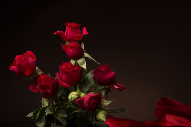 Similar image 10747479