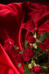 Similar image 10747483