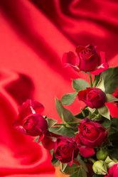 Similar image 10747486